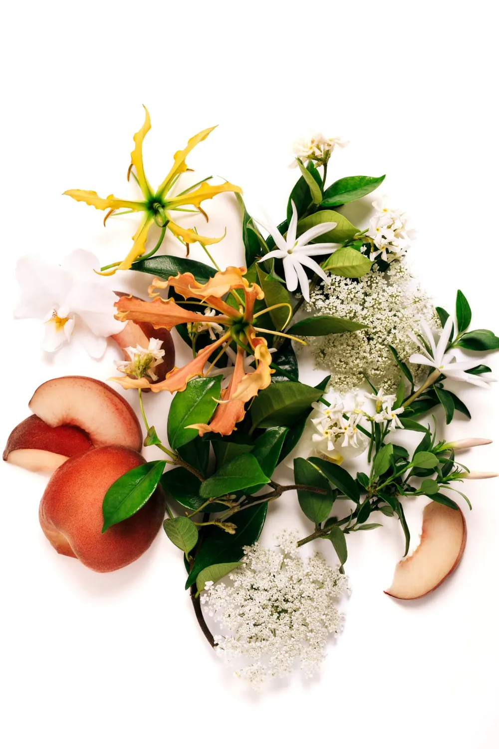 Franck Olivier Magic Blossom eau de parfum jasmin