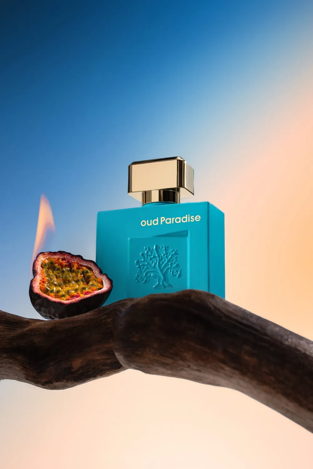 Franck Olivier Oud Paradise eau de parfum frugt oud