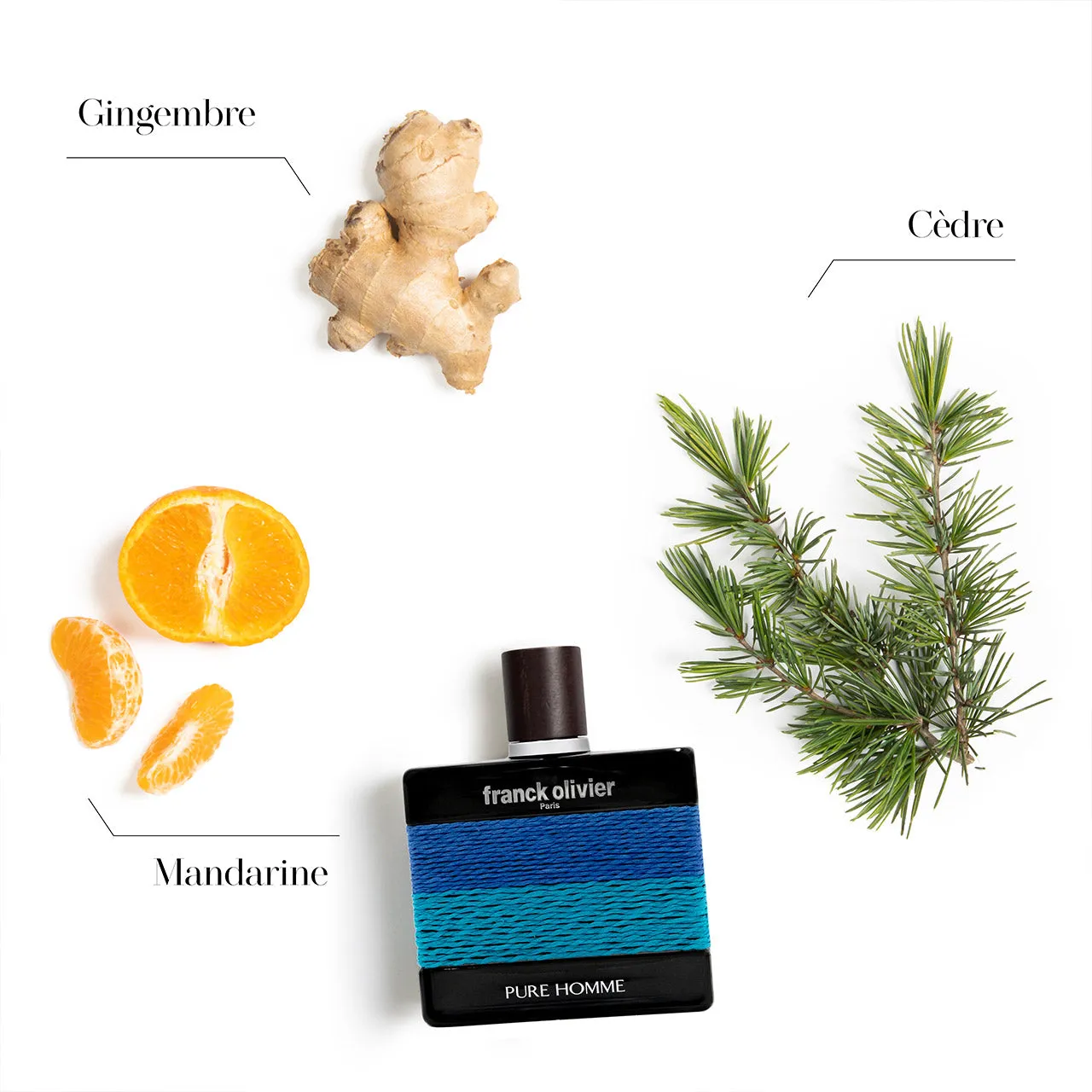 Franck Olivier Pure Homme parfume træagtig frisk