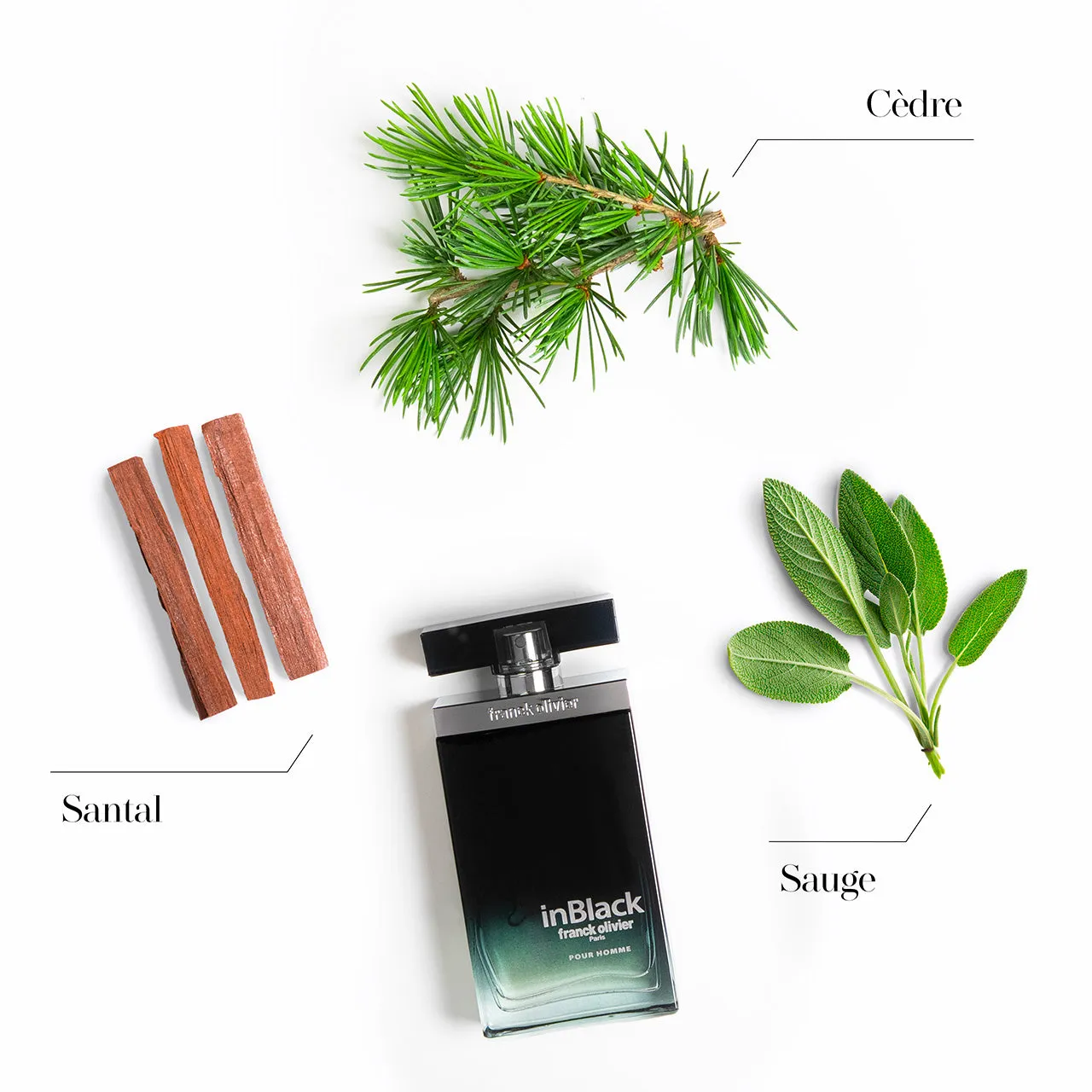 Franck Olivier In Black eau de toilette træagtig