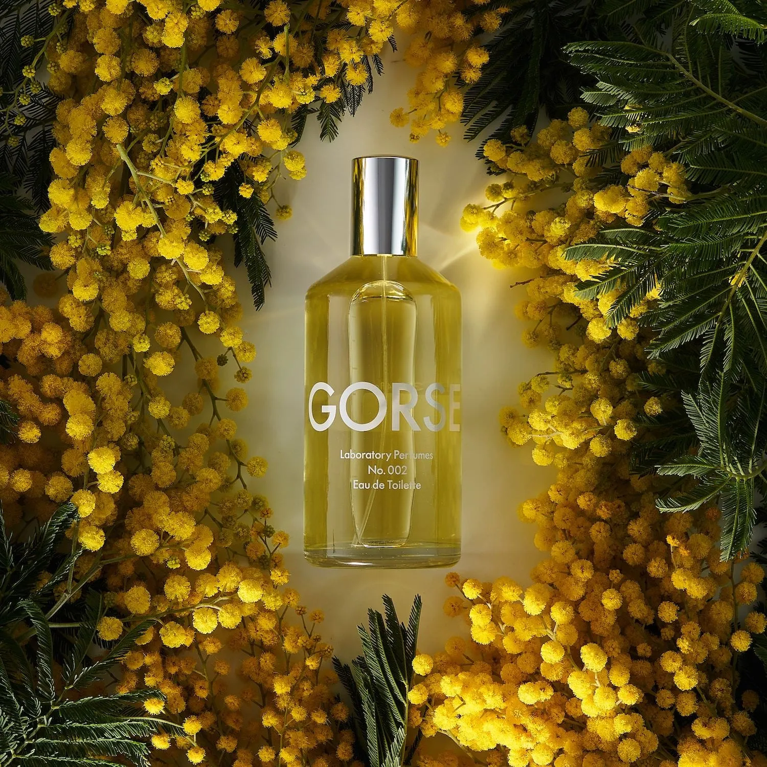 Laboratory Perfumes Gorse eau de toilette 100ml kokos