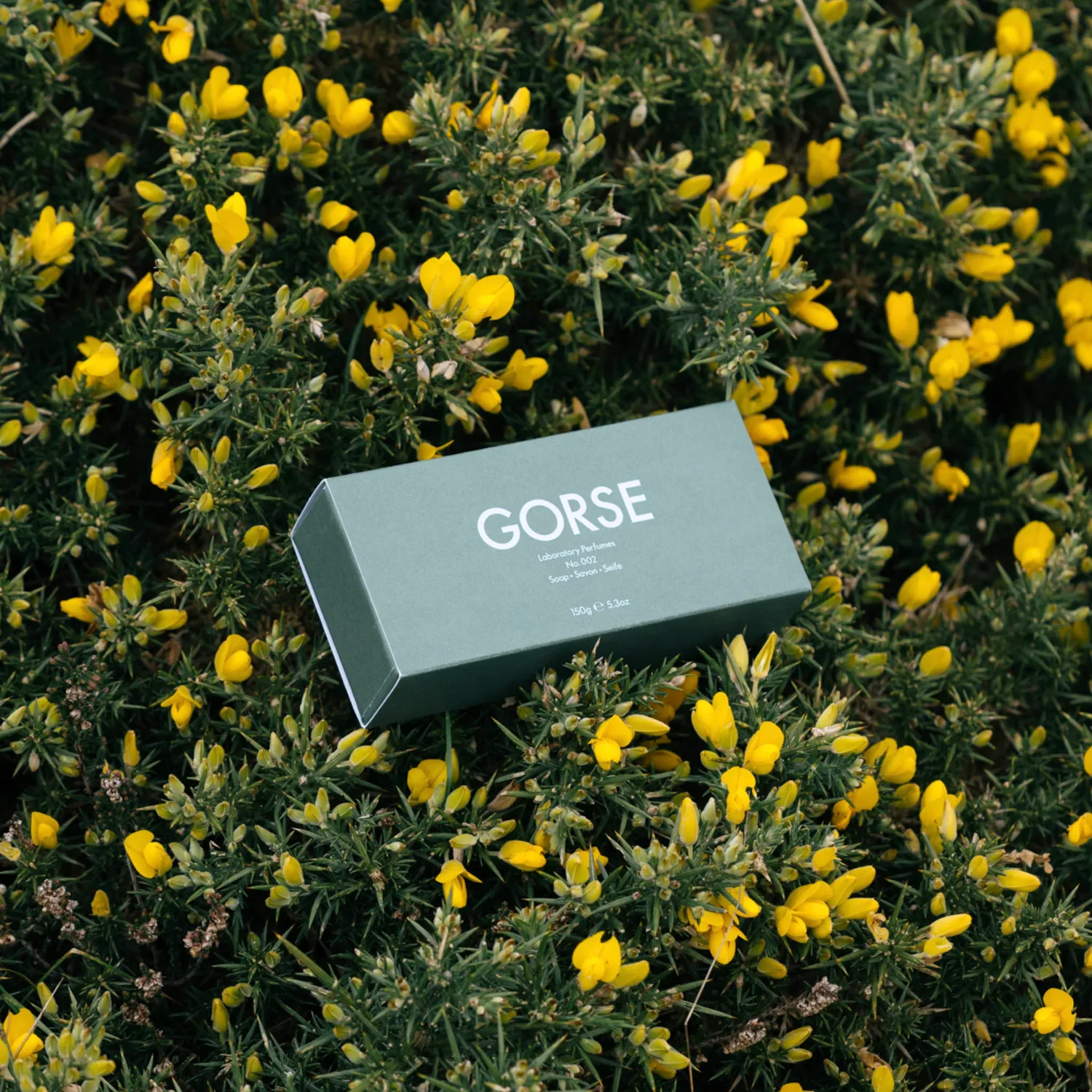 Laboratory Perfumes Gorse sæbe 150g med sheasmør